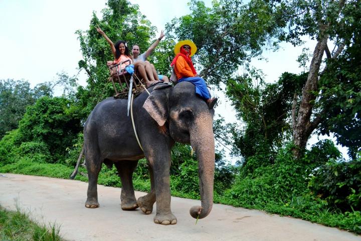 Big Budda Safari